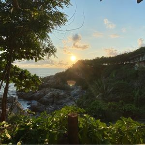 Meet your Posher, Lily